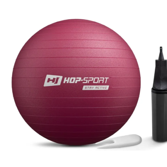 Купити Фітбол  Hop-Sport 45cm HS-R045YB plump  + насос у Києві - фото №1